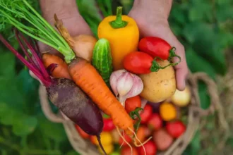 Summer season vegetables in Pakistan fresh organic sabzi